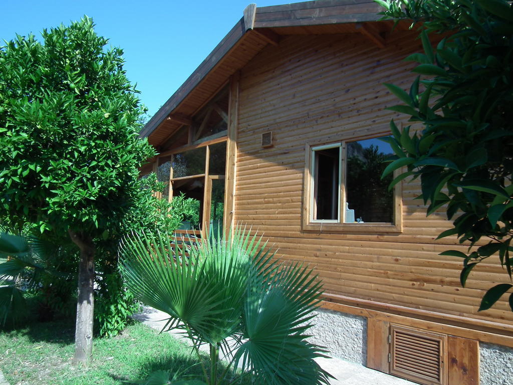 Sedir Palas Hotel Cirali Exterior foto